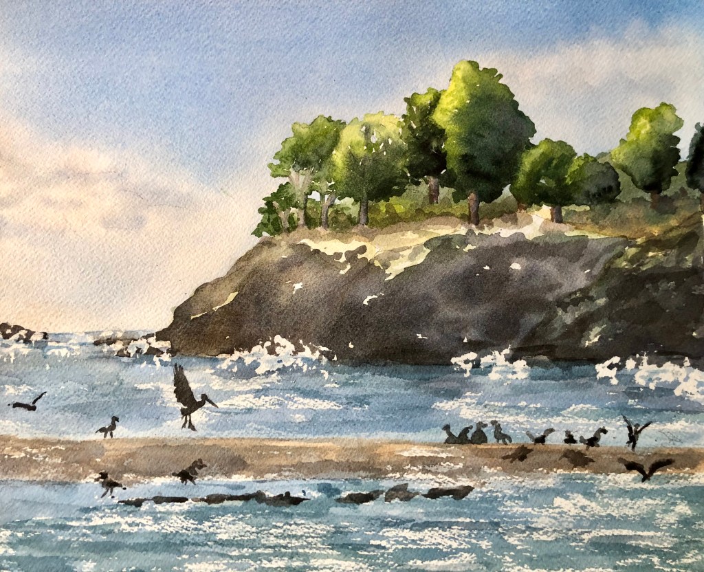 Van Damme State Park beach pelicans and seagull original watercolor.