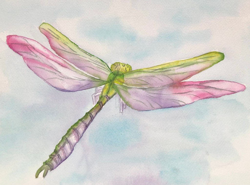 "Luminous Dragonfly", original watercolor, 9 x 12 inches. 