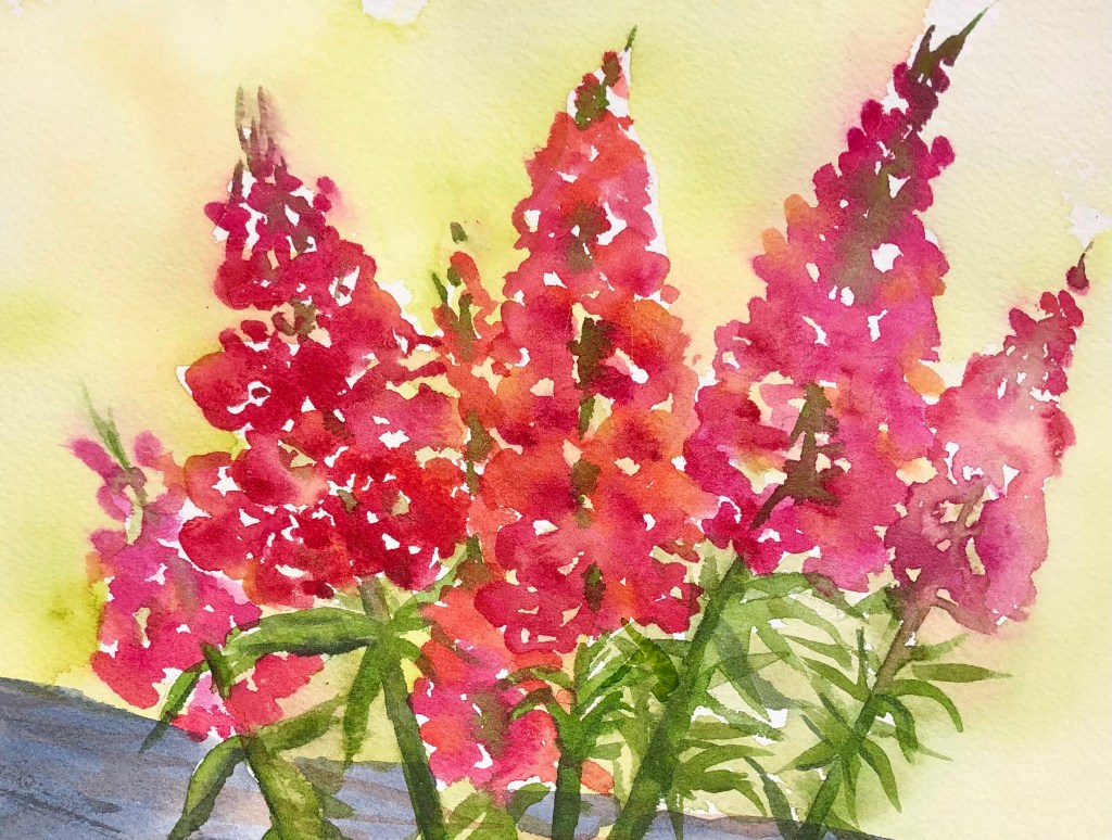 Snapdragons on my Deck" is an original watercolor, 11-1/2 inches by 8 inches. 