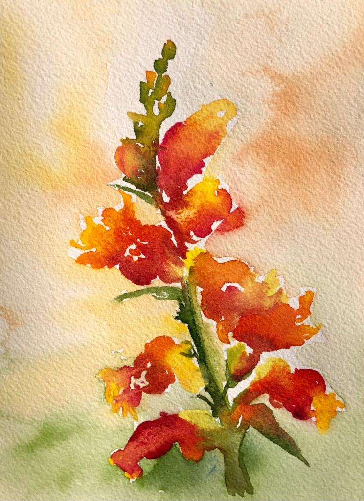 "Rusty" original watercolor 5 x 7 inches.