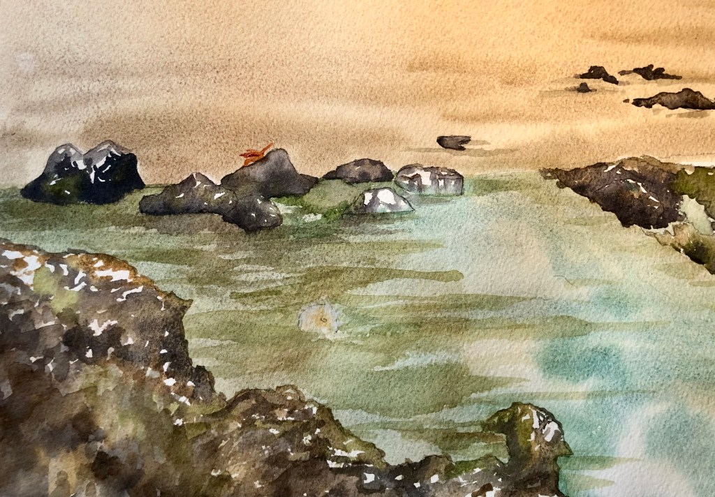 Dragonfly visiting a tidal pool. Original watercolor, 9 x 12 inches.