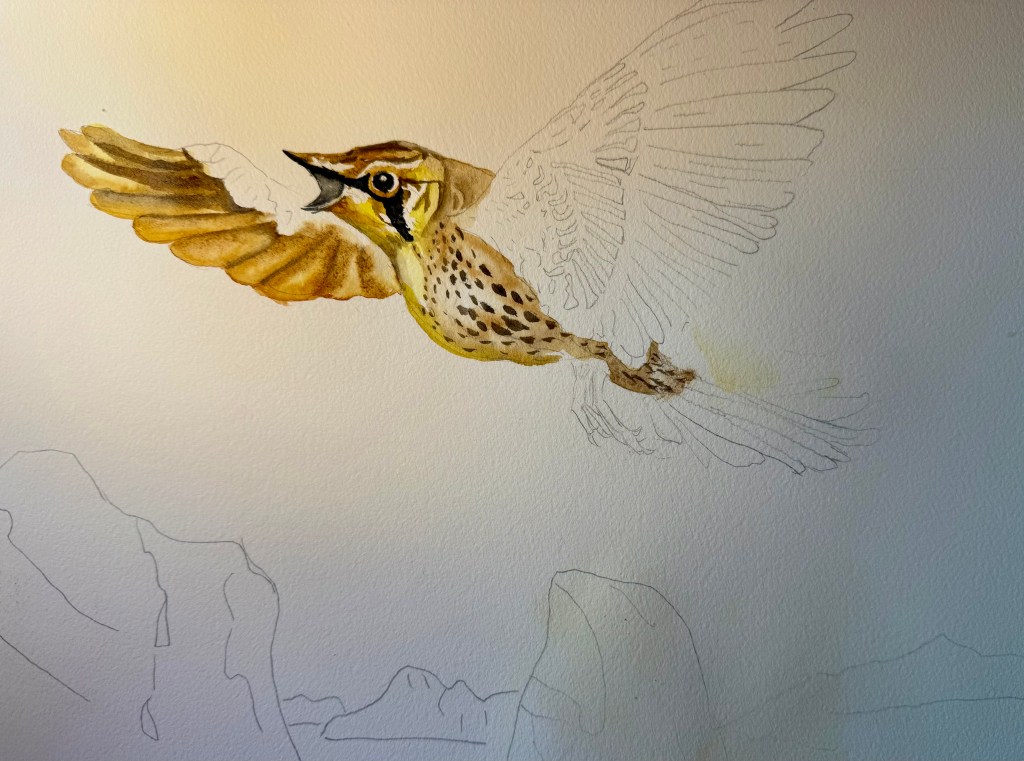"Lark Ascending" original watercolor in progress, 16 x 22.5 inches on Arches paper.