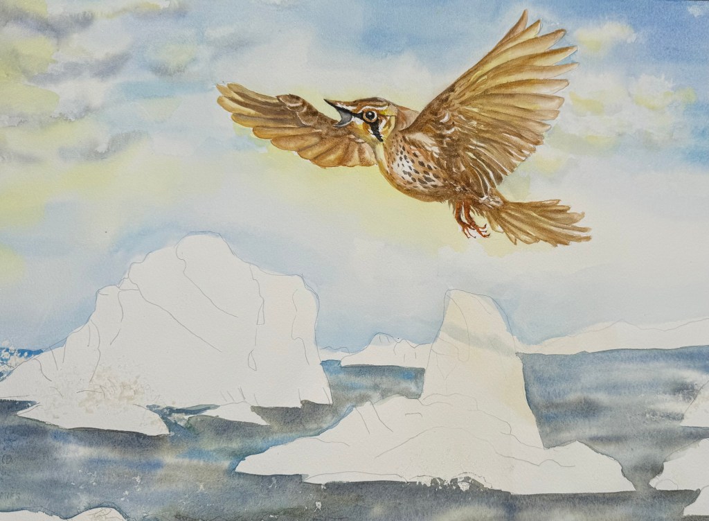 "Lark Ascending" original watercolor unfinished, 16 x 22.5 inches on arches paper.