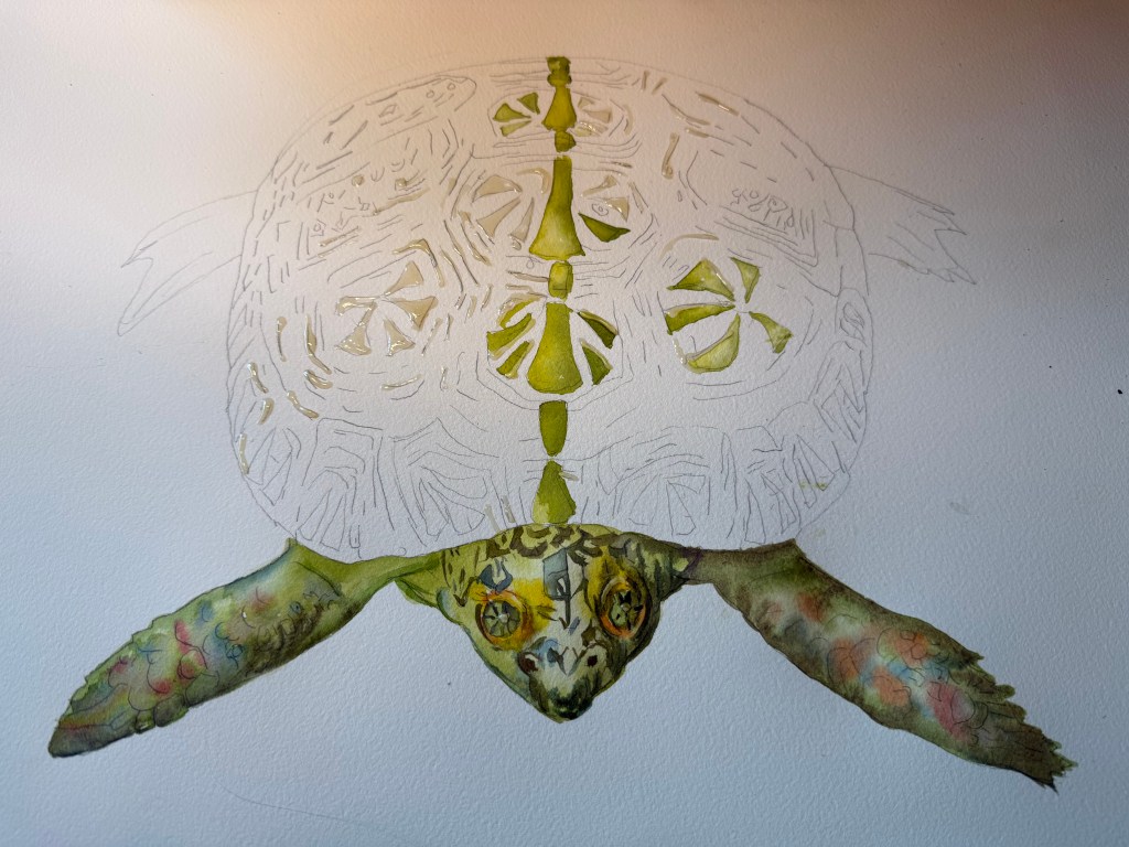 Katie's Spicy Turtle, unfinished original watercolor 14 x 18 inches unframed.