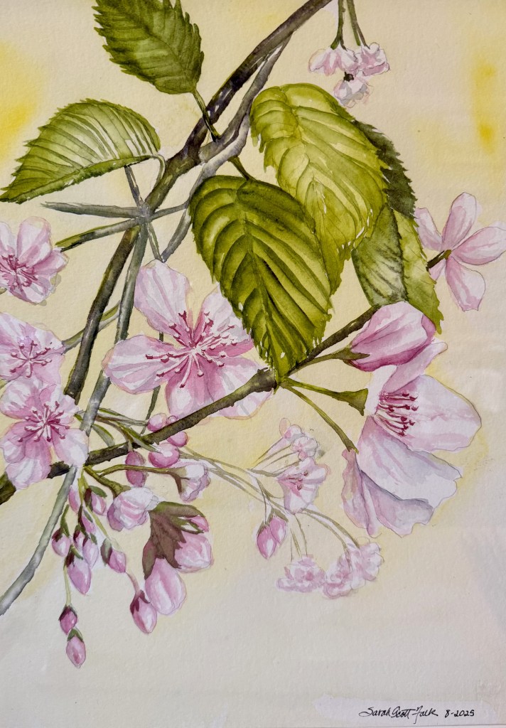 J-Town Cherry Blossom", original watercolor, 18 x 22 inches, framed. $200.00