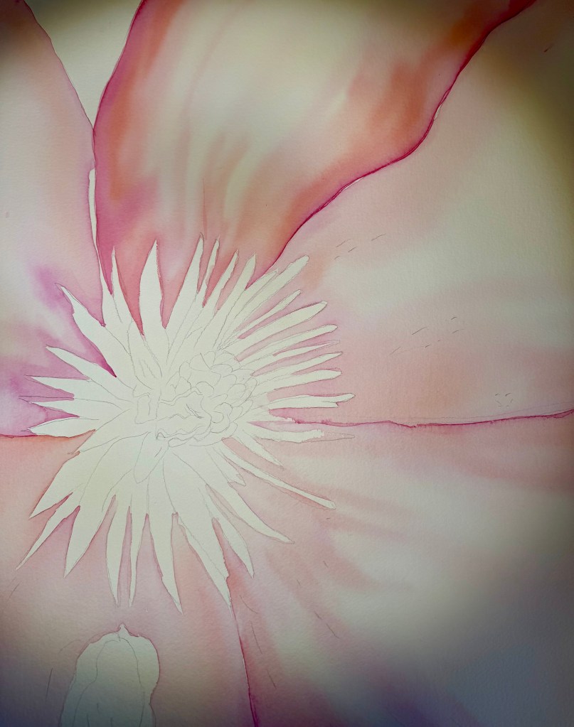 "Centered" original watercolor in progress, 22 x 30 inches.